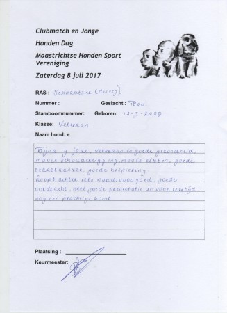 08-07-2017 MHSV (Maastricht) Wizzy in de Funklasse